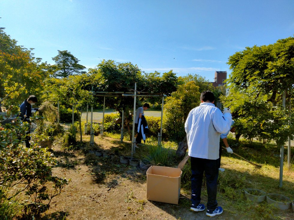 粟嶋神社清掃2