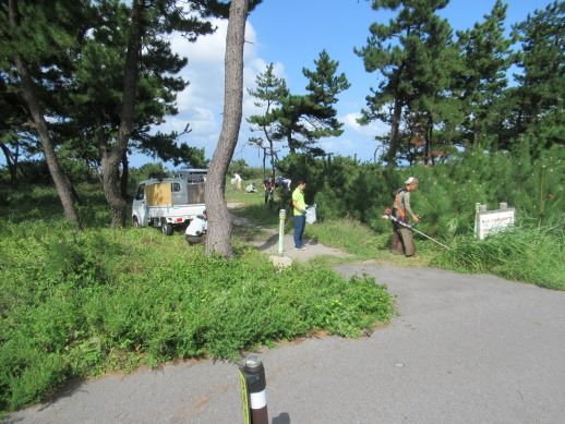 教職員の草刈り