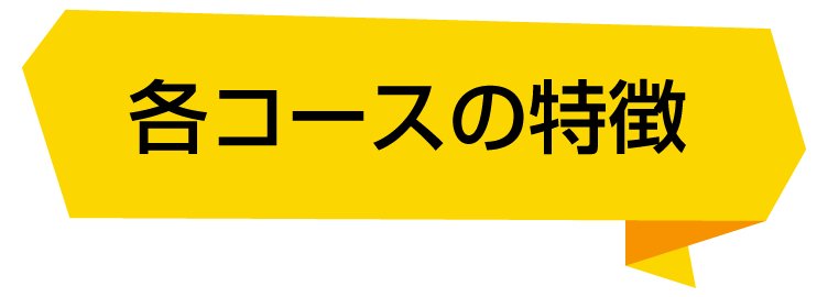 各コースの特徴