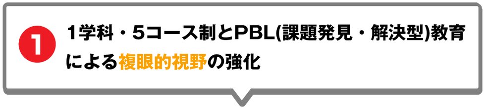 1学科・5コース制とPBL(課題発見・解決型)教育による複眼的視野の強化